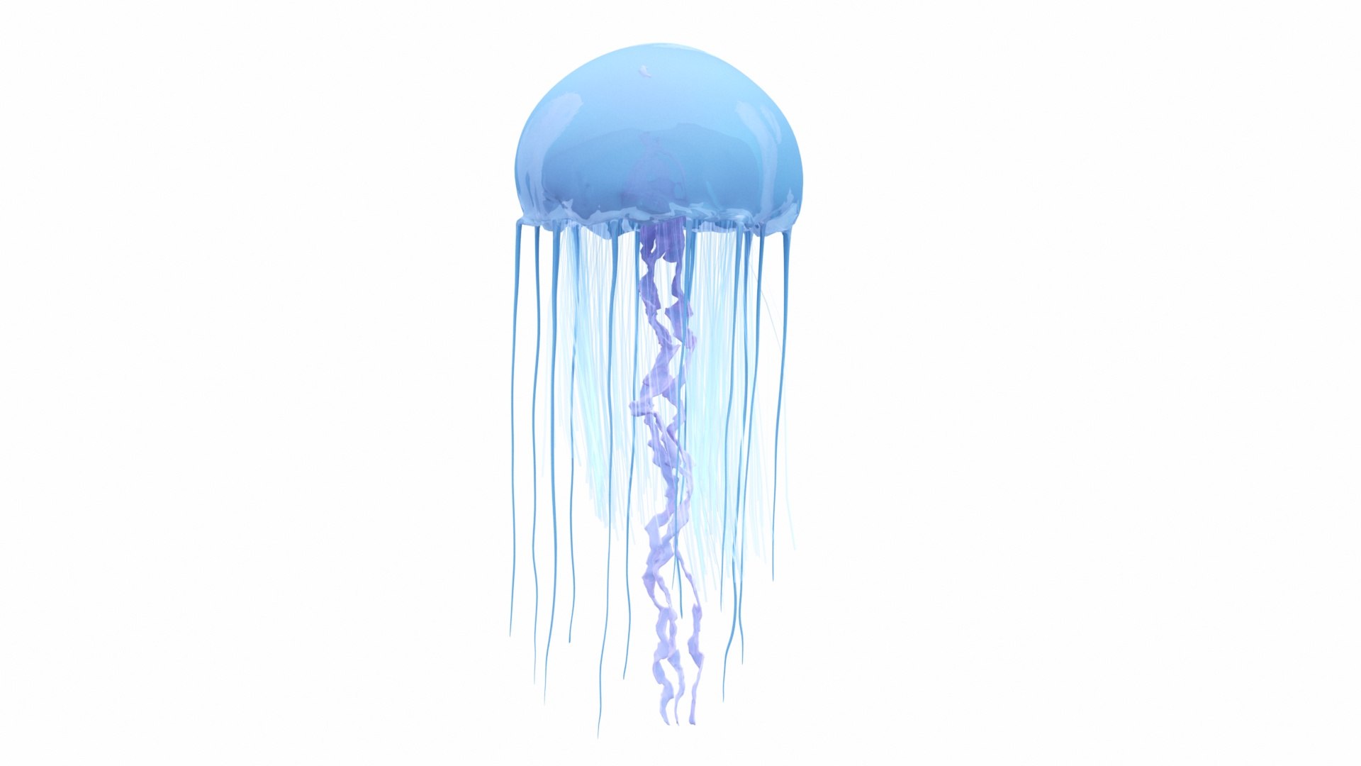 3D Underwater Animals Big Collection 34 in 1 model https://p.turbosquid.com/ts-thumb/60/9jpuI7/f0YJNOqx/010000/jpg/1661389366/1920x1080/fit_q87/2df485c44a4a2b6b3a00bdb696f44acc692d237d/010000.jpg