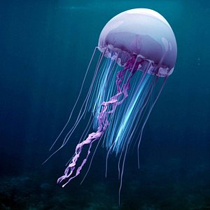 Animated Jellyfish 1