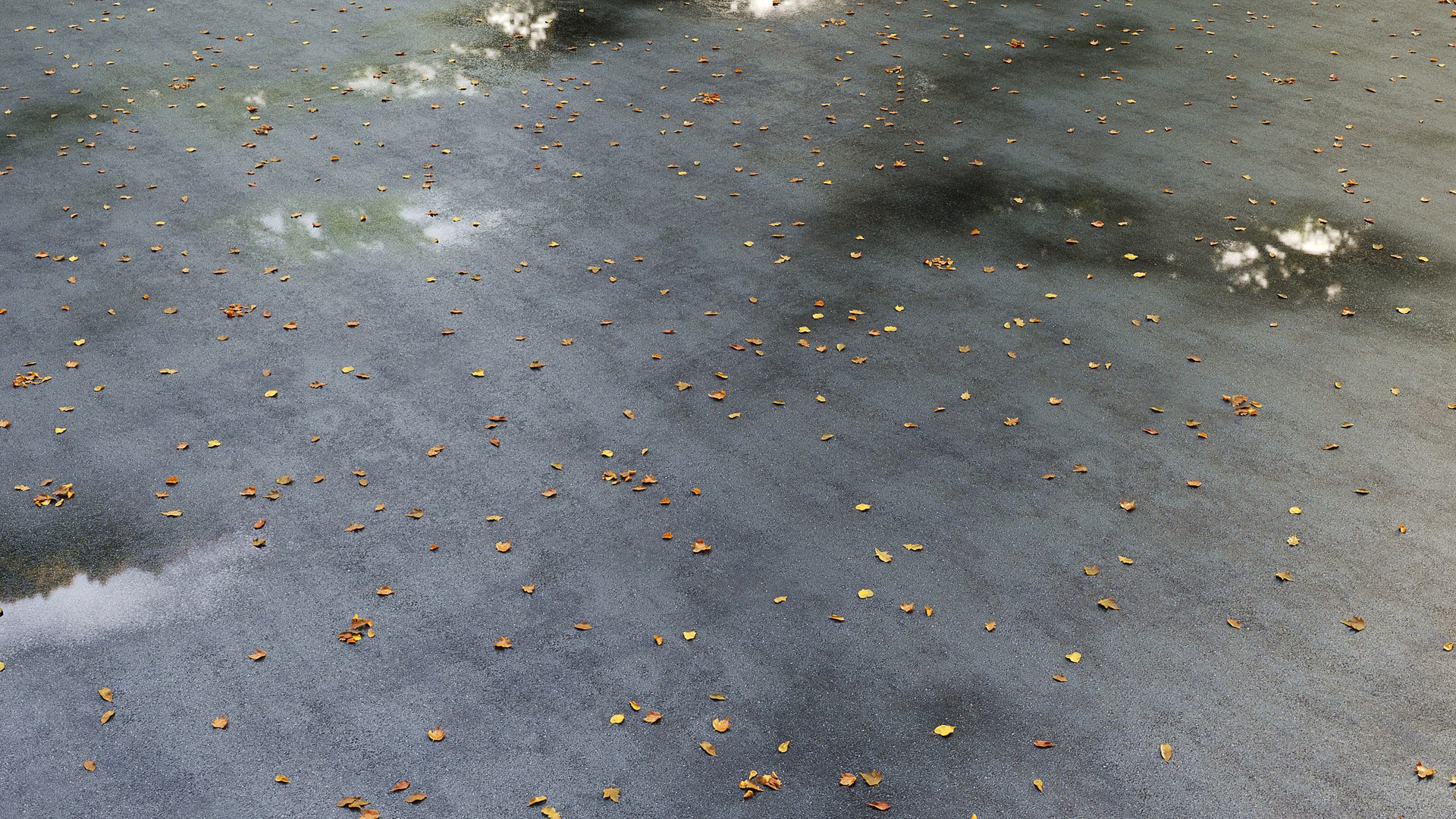 Wet asphalt with leaves 3D model https://p.turbosquid.com/ts-thumb/60/AQcnMR/CH/08/jpg/1750022316/1920x1080/fit_q87/080a5b449dec24e0d0c2a869ac873694315ae816/08.jpg