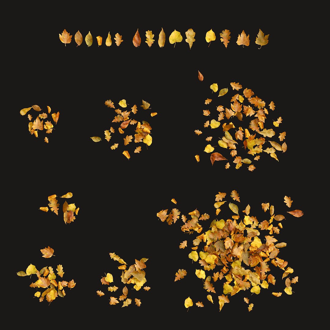 Wet asphalt with leaves 3D model https://p.turbosquid.com/ts-thumb/60/AQcnMR/Cf/11/jpg/1750022449/1920x1080/fit_q87/a958c2c21c4f13a4bb96693c580719c2b93719c3/11.jpg