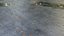 Wet asphalt with leaves
