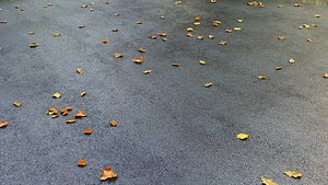 Wet asphalt with leaves