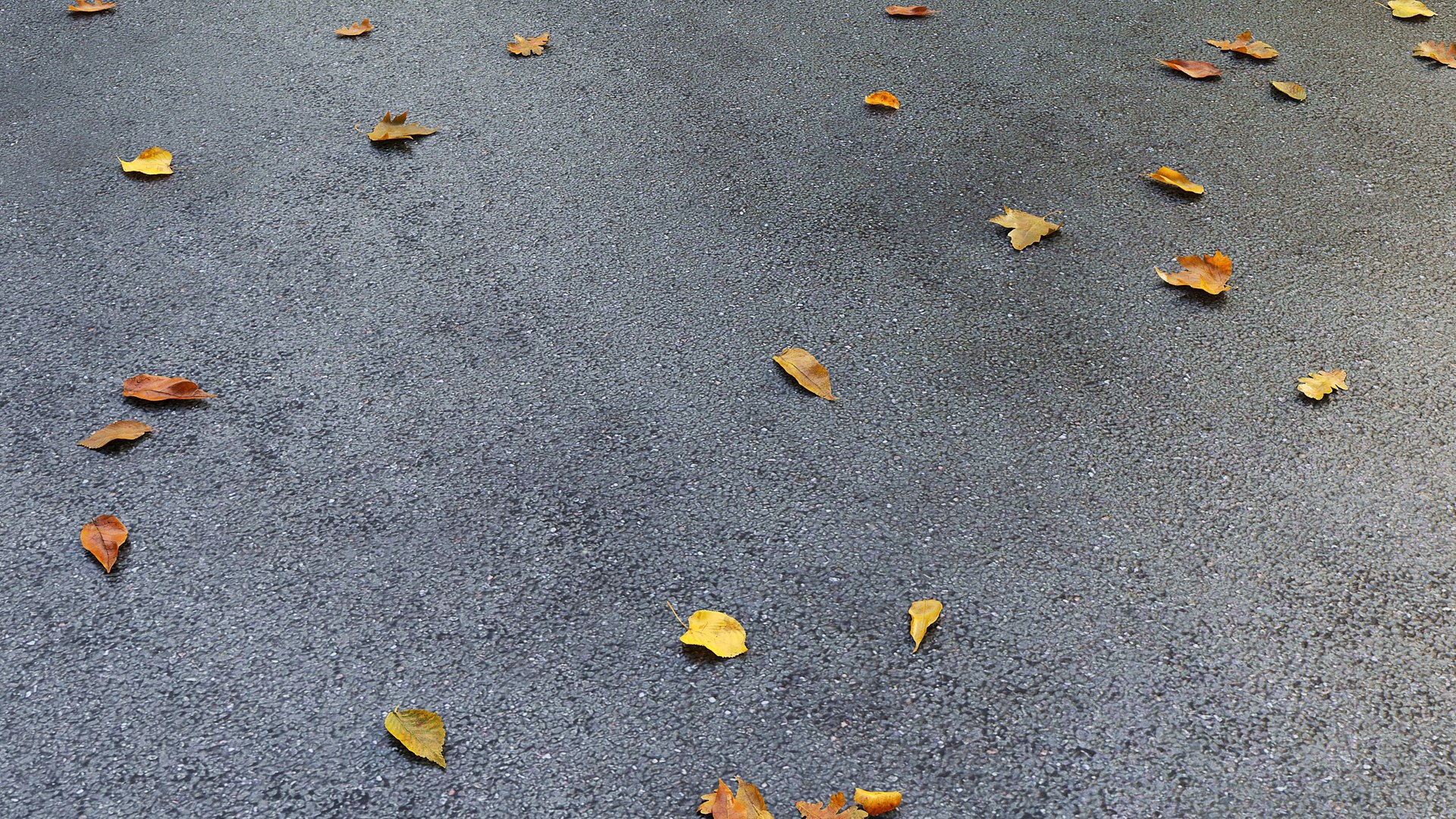 Wet asphalt with leaves 3D model https://p.turbosquid.com/ts-thumb/60/AQcnMR/wU/07/jpg/1750022320/1920x1080/fit_q87/f50de629a88afb204474dcea98a4c5e8d5f920fd/07.jpg