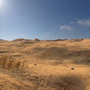 Desert Landscape 3D model