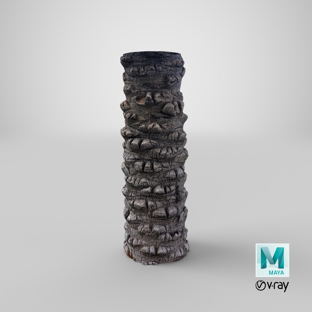 Palm Log V1 3D model https://p.turbosquid.com/ts-thumb/60/igJKo4/PA/stemcell_maya_vray_render/png/1701968972/1920x1080/fit_q87/54dcb3b7b65a8cc9810d3e919d49e3c4024037c5/stemcell_maya_vray_render.jpg