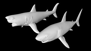 shark great white 3D