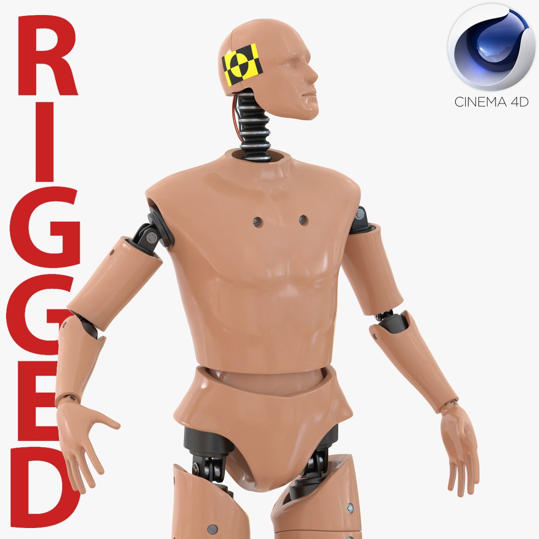 Male Crash Test Dummy Rigged for Cinema 4D 3D Model 3D model preview