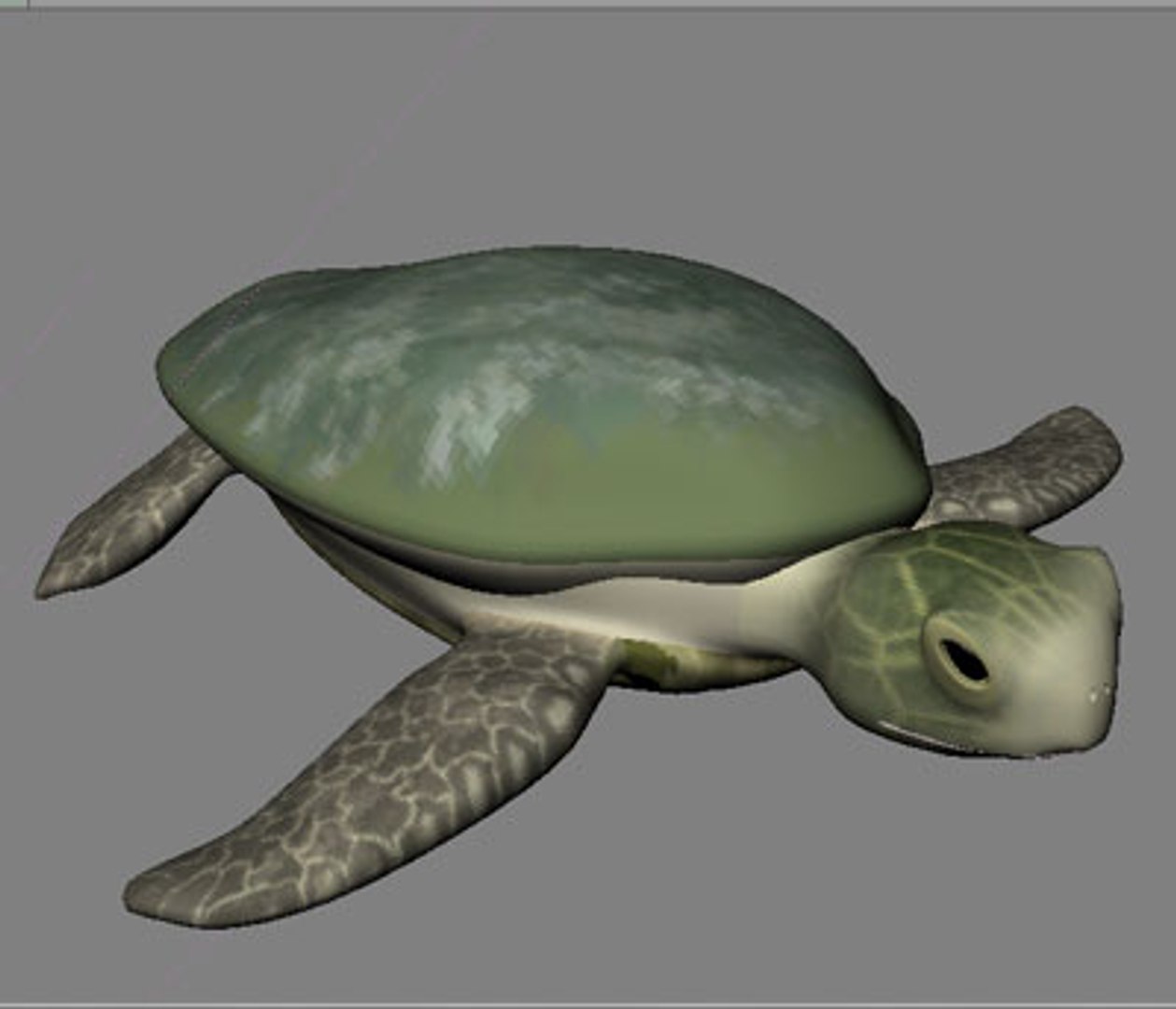 Turtle Lwo