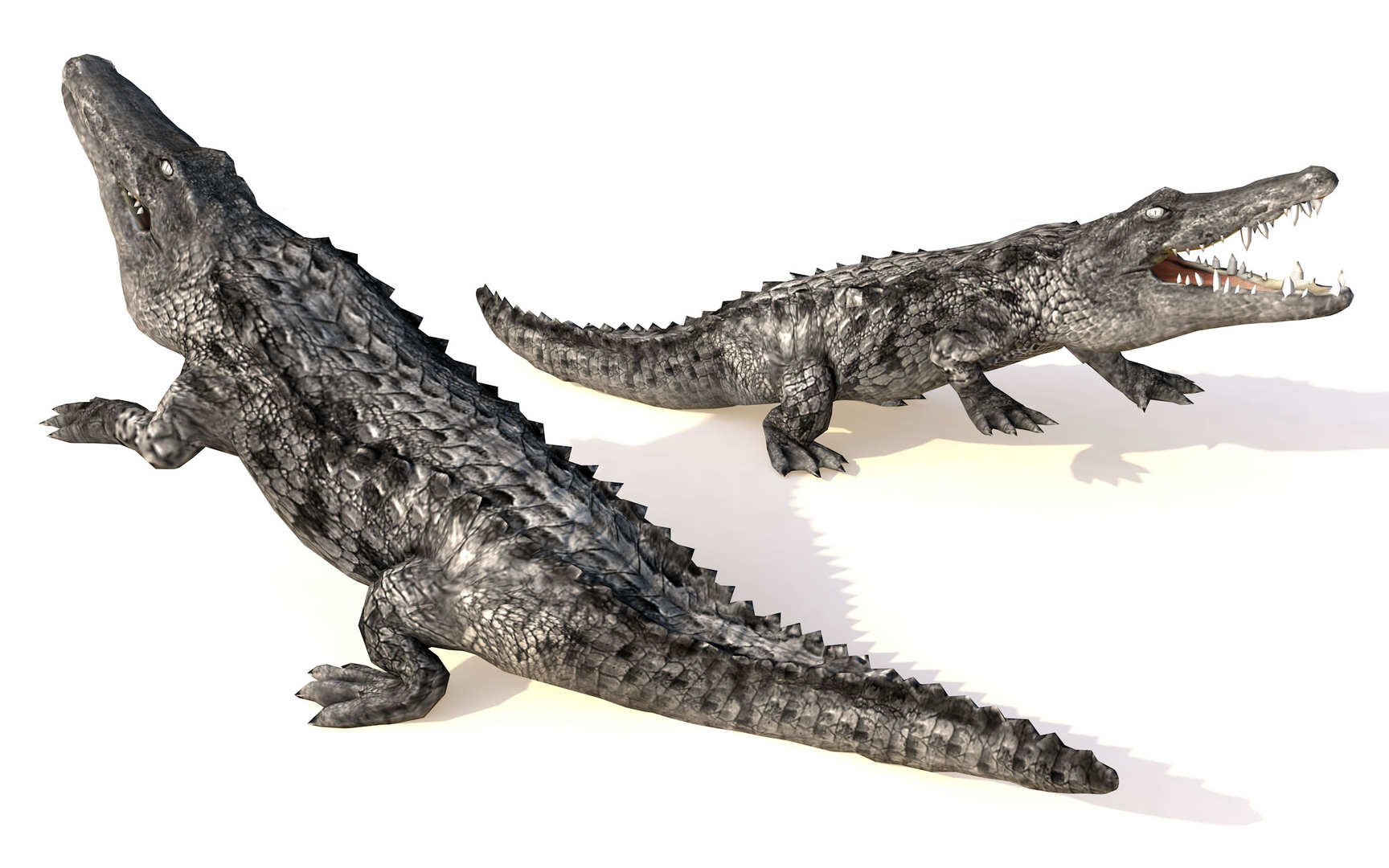 Black alligator crocodile animations 3D model - TurboSquid 1653273