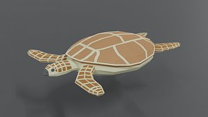 3D loggerhead sea turtle