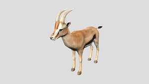 3D gazelle rigged animation model