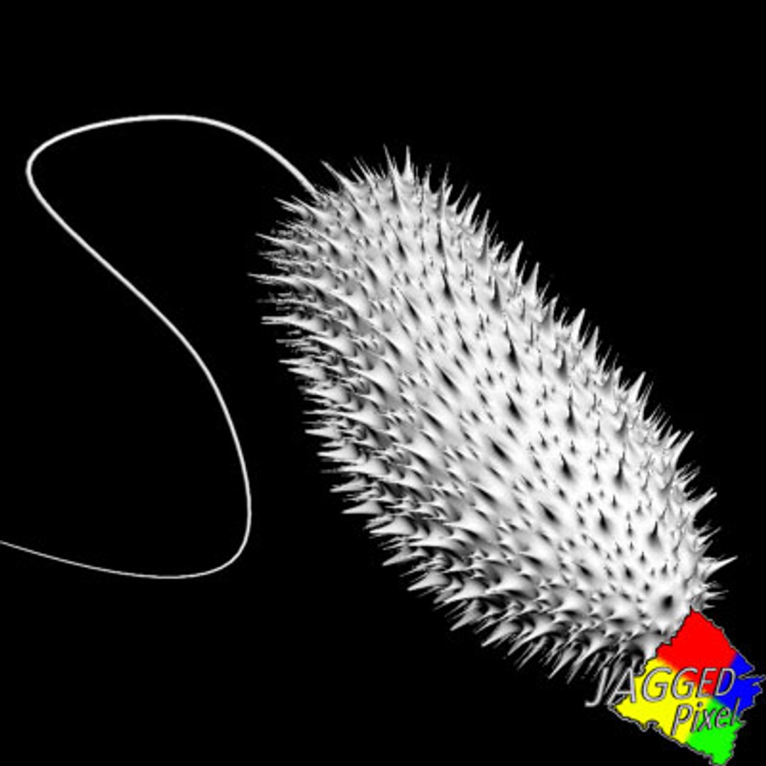 3d Paramecium Protist Protista Model 4004