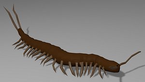 Centipede OBJ 3D