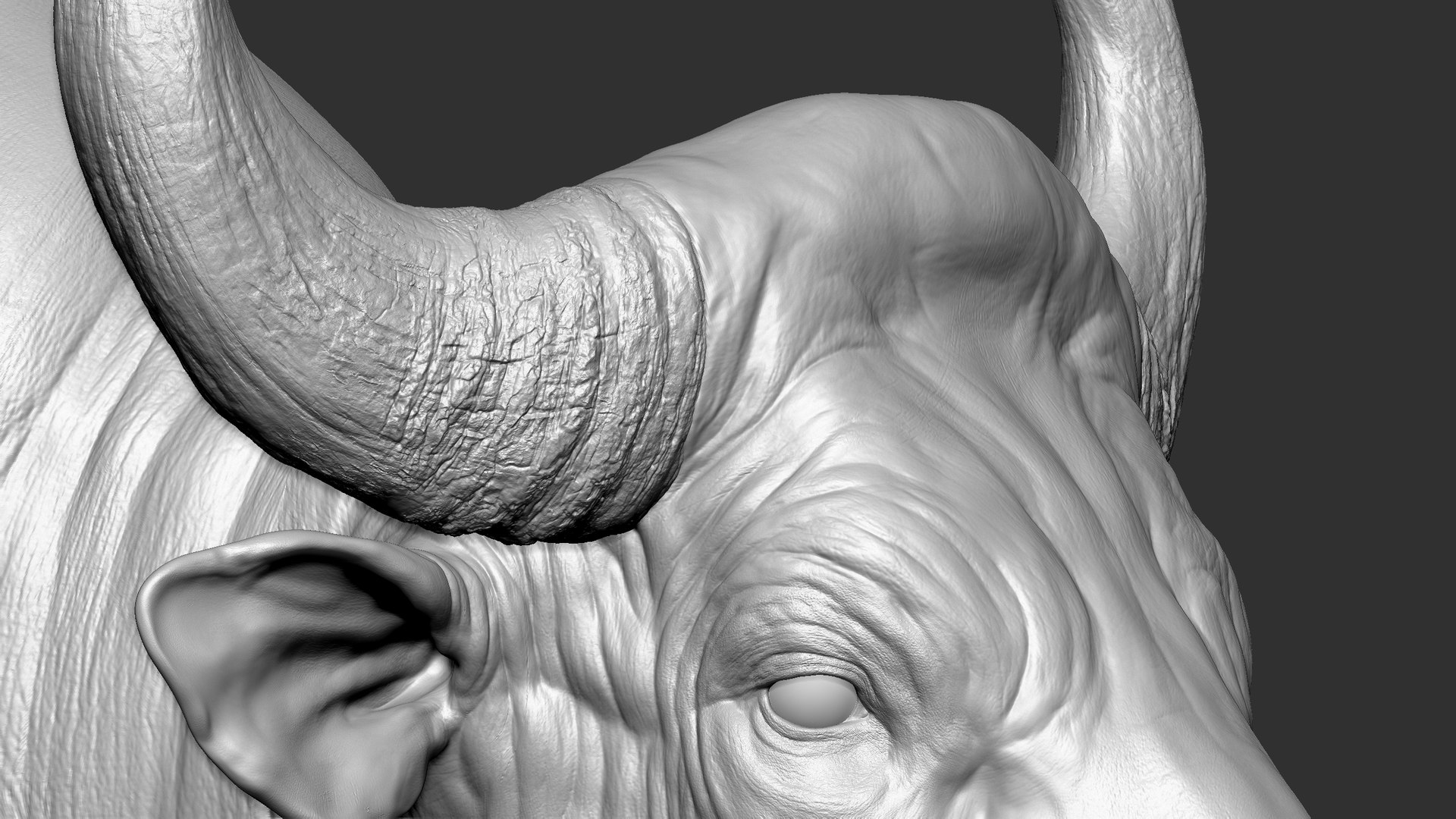 3D model Gaur Bos gaurus  VFX  most Zbrush Sculpture Digitale https://p.turbosquid.com/ts-thumb/61/t5ETlm/Cg/17/jpg/1633443390/1920x1080/fit_q87/7340286749dd43e2d5ee31848b094695fa163633/17.jpg