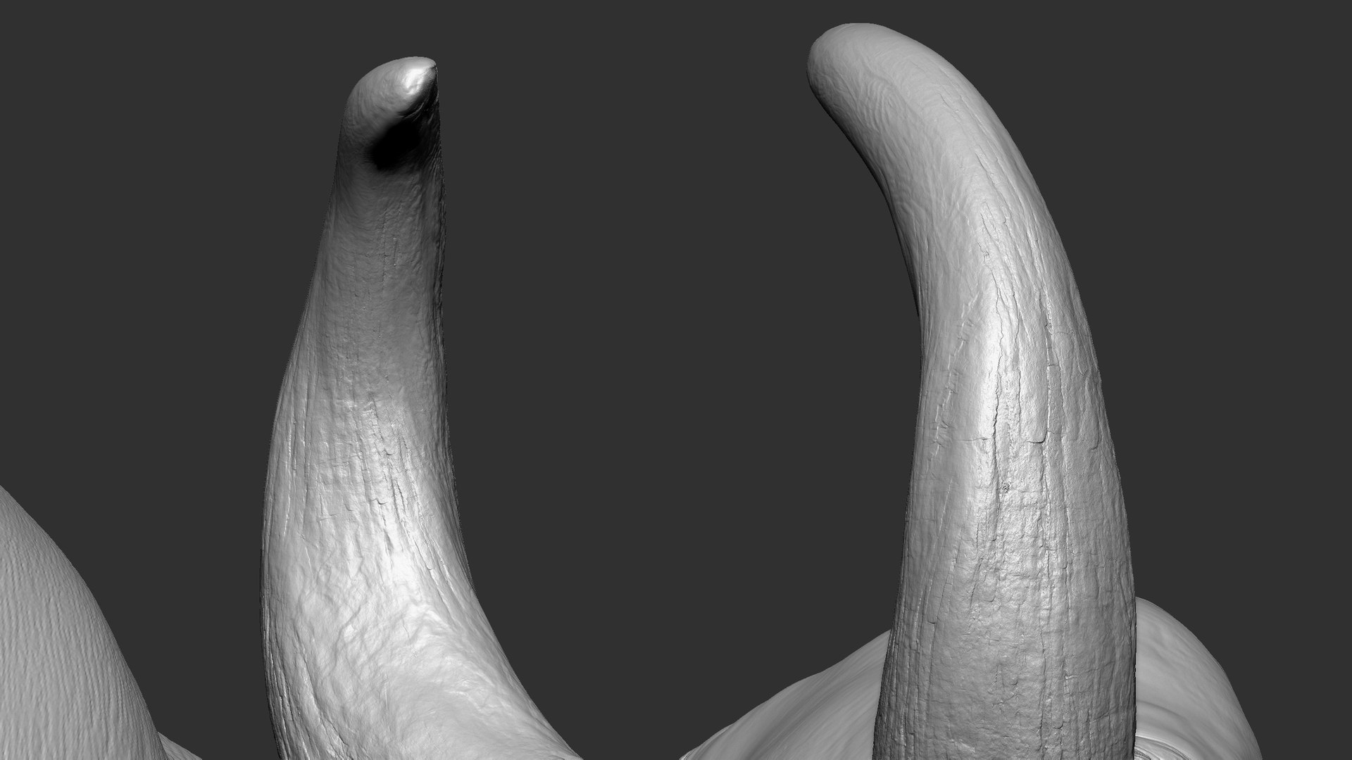 3D model Gaur Bos gaurus  VFX  most Zbrush Sculpture Digitale https://p.turbosquid.com/ts-thumb/61/t5ETlm/H1/21/jpg/1633443444/1920x1080/fit_q87/2e637b8d0c1af70e142026922a34ec92cd98ce6b/21.jpg