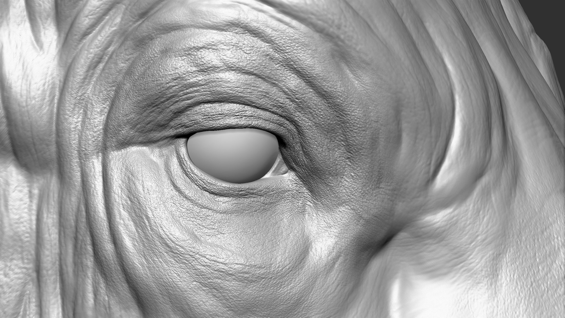 3D model Gaur Bos gaurus  VFX  most Zbrush Sculpture Digitale https://p.turbosquid.com/ts-thumb/61/t5ETlm/Mv/14/jpg/1633443398/1920x1080/fit_q87/e9b3bf8f845f3c10216c0952d327b8e4e5036a4c/14.jpg
