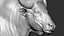 3D model Gaur Bos gaurus  VFX  most Zbrush Sculpture Digitale