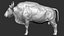 3D model Gaur Bos gaurus  VFX  most Zbrush Sculpture Digitale