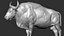 3D model Gaur Bos gaurus  VFX  most Zbrush Sculpture Digitale