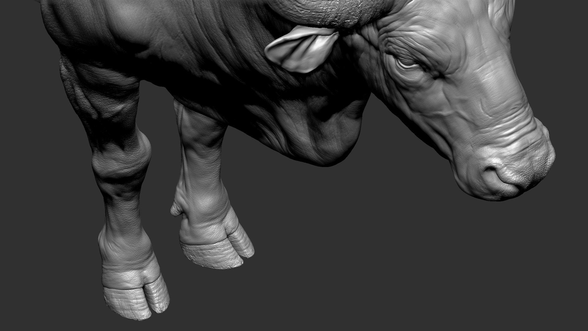 3D model Gaur Bos gaurus  VFX  most Zbrush Sculpture Digitale https://p.turbosquid.com/ts-thumb/61/t5ETlm/Uu/25/jpg/1633443445/1920x1080/fit_q87/64f6749a58fff552956c70063dba6b64a6350b5e/25.jpg
