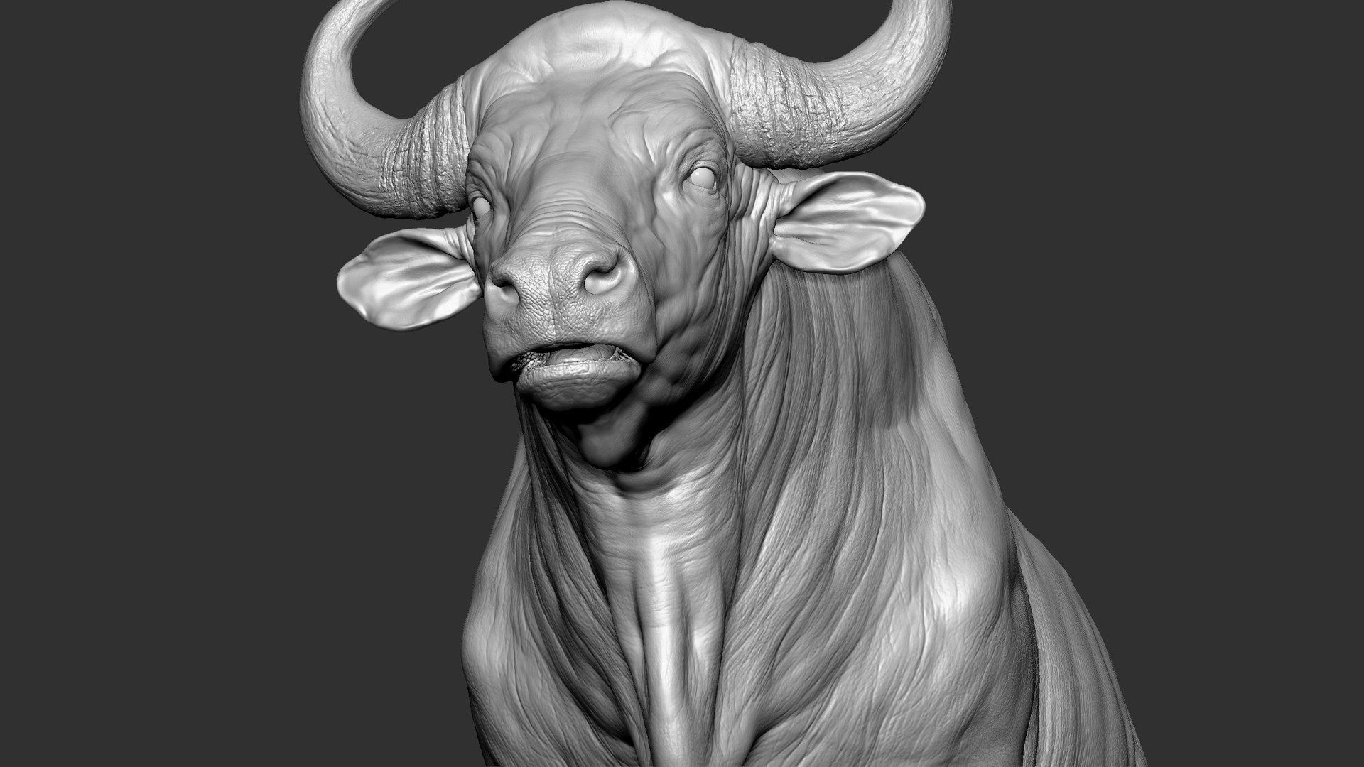 3D model Gaur Bos gaurus  VFX  most Zbrush Sculpture Digitale https://p.turbosquid.com/ts-thumb/61/t5ETlm/YT/9/jpg/1633443323/1920x1080/fit_q87/03cc86d118664545486084b0754c9b78033e045e/9.jpg