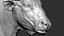 3D model Gaur Bos gaurus  VFX  most Zbrush Sculpture Digitale