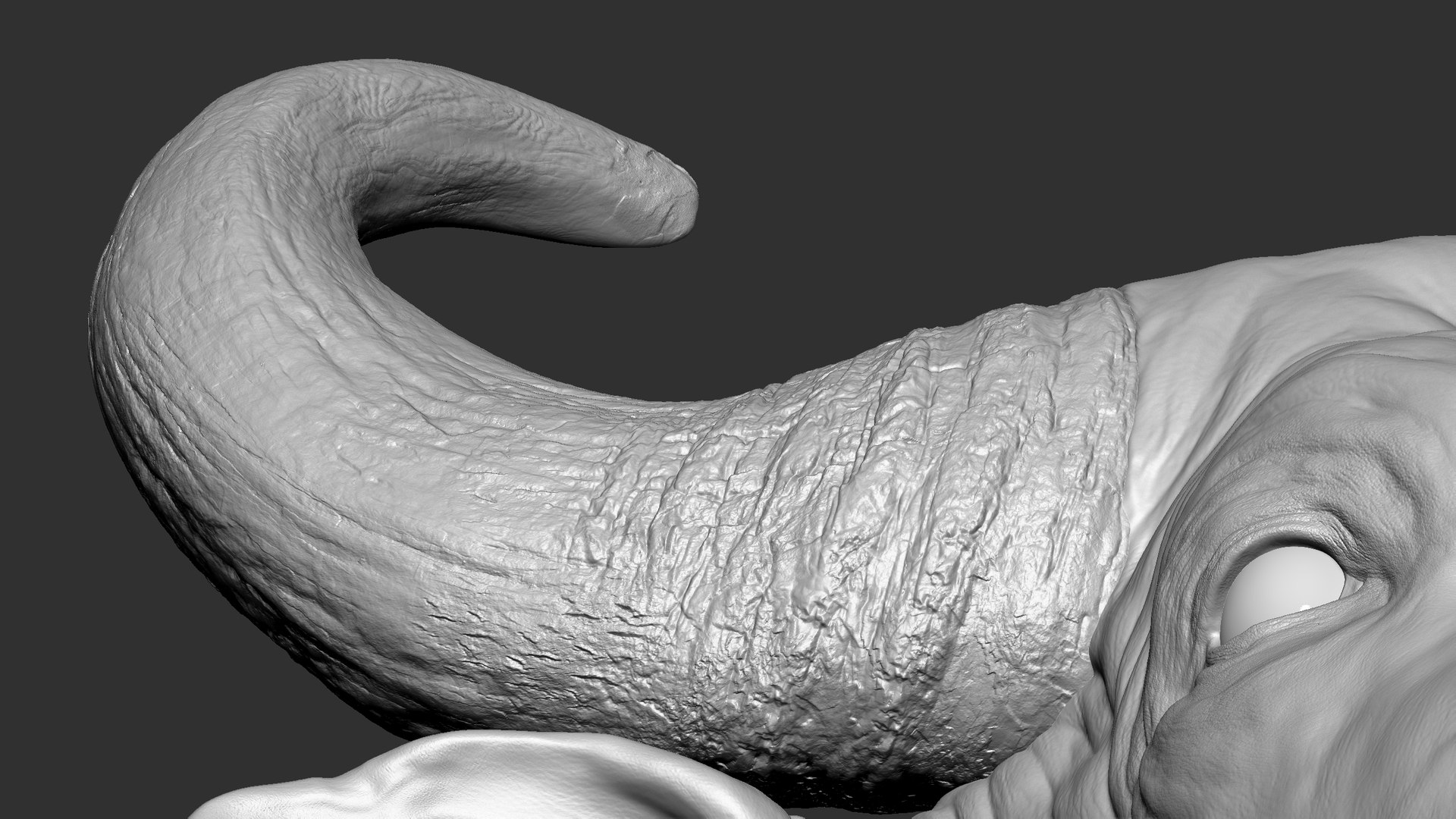 3D model Gaur Bos gaurus  VFX  most Zbrush Sculpture Digitale https://p.turbosquid.com/ts-thumb/61/t5ETlm/qt/19/jpg/1633443388/1920x1080/fit_q87/b5c64a888fe990516b20ab7ddb4d000efd1e076b/19.jpg