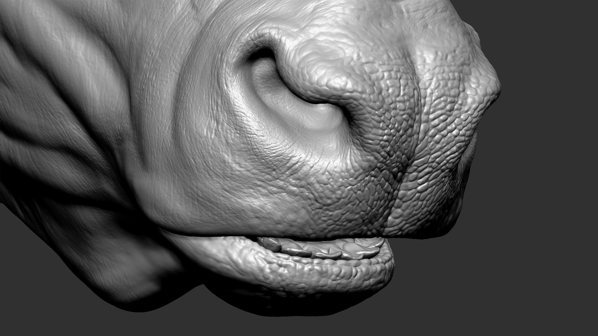 3D model Gaur Bos gaurus  VFX  most Zbrush Sculpture Digitale https://p.turbosquid.com/ts-thumb/61/t5ETlm/sG/11/jpg/1633443386/1920x1080/fit_q87/33fe2625335dadd341b916378ec5ab43470944e1/11.jpg