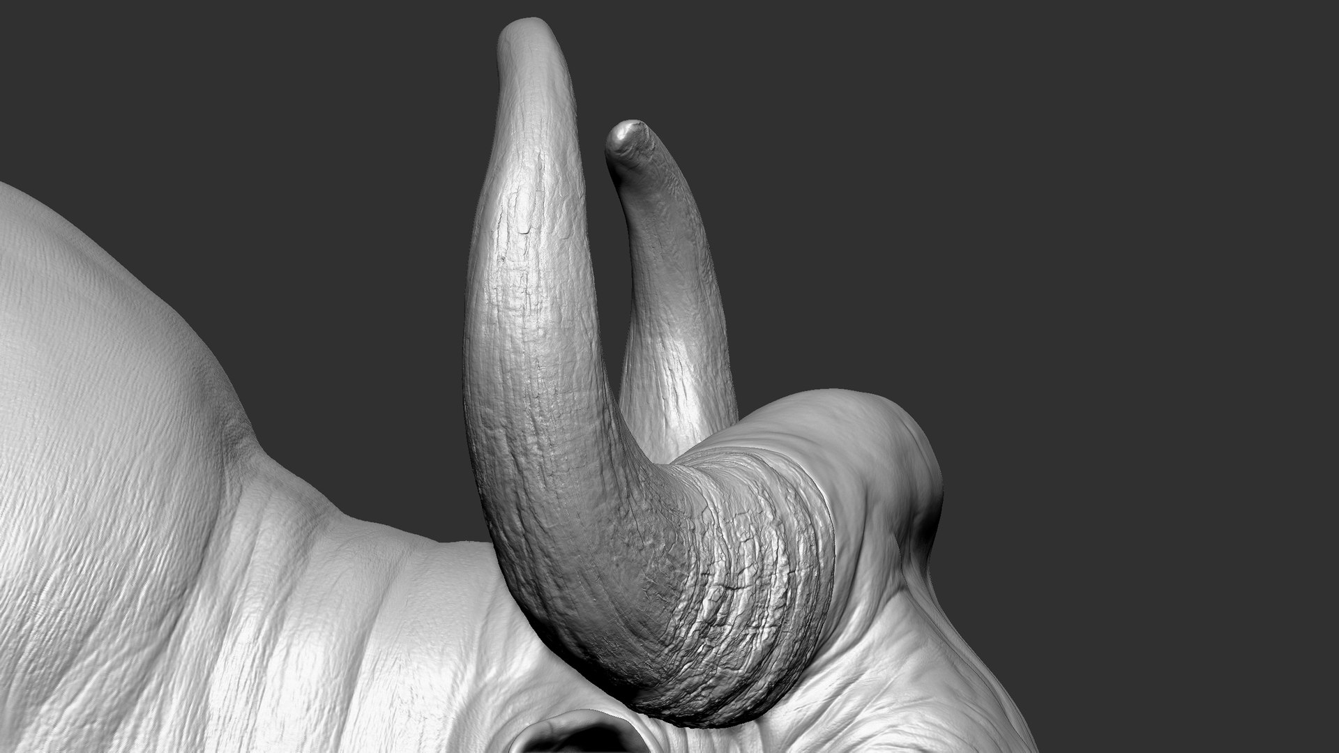 3D model Gaur Bos gaurus  VFX  most Zbrush Sculpture Digitale https://p.turbosquid.com/ts-thumb/61/t5ETlm/y0/22/jpg/1633443453/1920x1080/fit_q87/e86a4bad1d036e18502f926f7db55ce96d2f5b3a/22.jpg