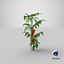 3D tomatoes fruits flowers