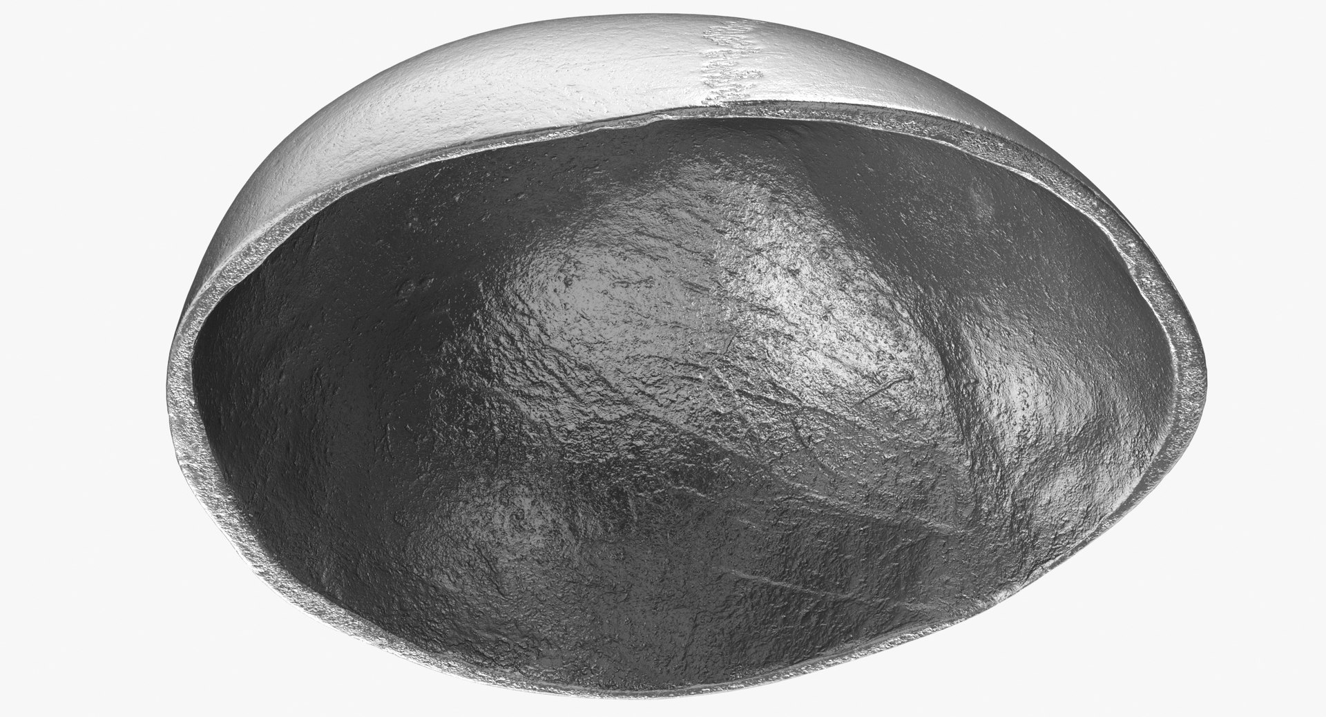 Human Skull Cranial 02 3D Model - TurboSquid 1497823