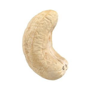 scanned cashew nut model