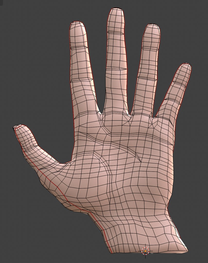 DoHandRiggedAnatomicalRealistic 3D model https://p.turbosquid.com/ts-thumb/62/7YAgxt/7S/wirerender1/png/1771220829/1920x1080/fit_q87/120c4ef385bf13f100d9b53a67c28da7793812fa/wirerender1.jpg
