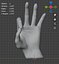 DoHandRiggedAnatomicalRealistic
