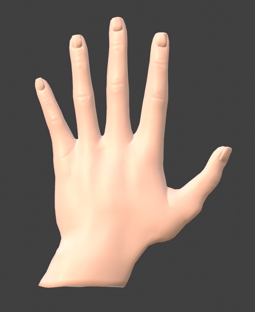 DoHandRiggedAnatomicalRealistic 3D model https://p.turbosquid.com/ts-thumb/62/7YAgxt/QJ/product5/png/1771296570/1920x1080/fit_q87/c9a0eb5f3464549ef34ba0f94f7496a2e3e6ef8c/product5.jpg
