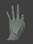 DoHandRiggedAnatomicalRealistic