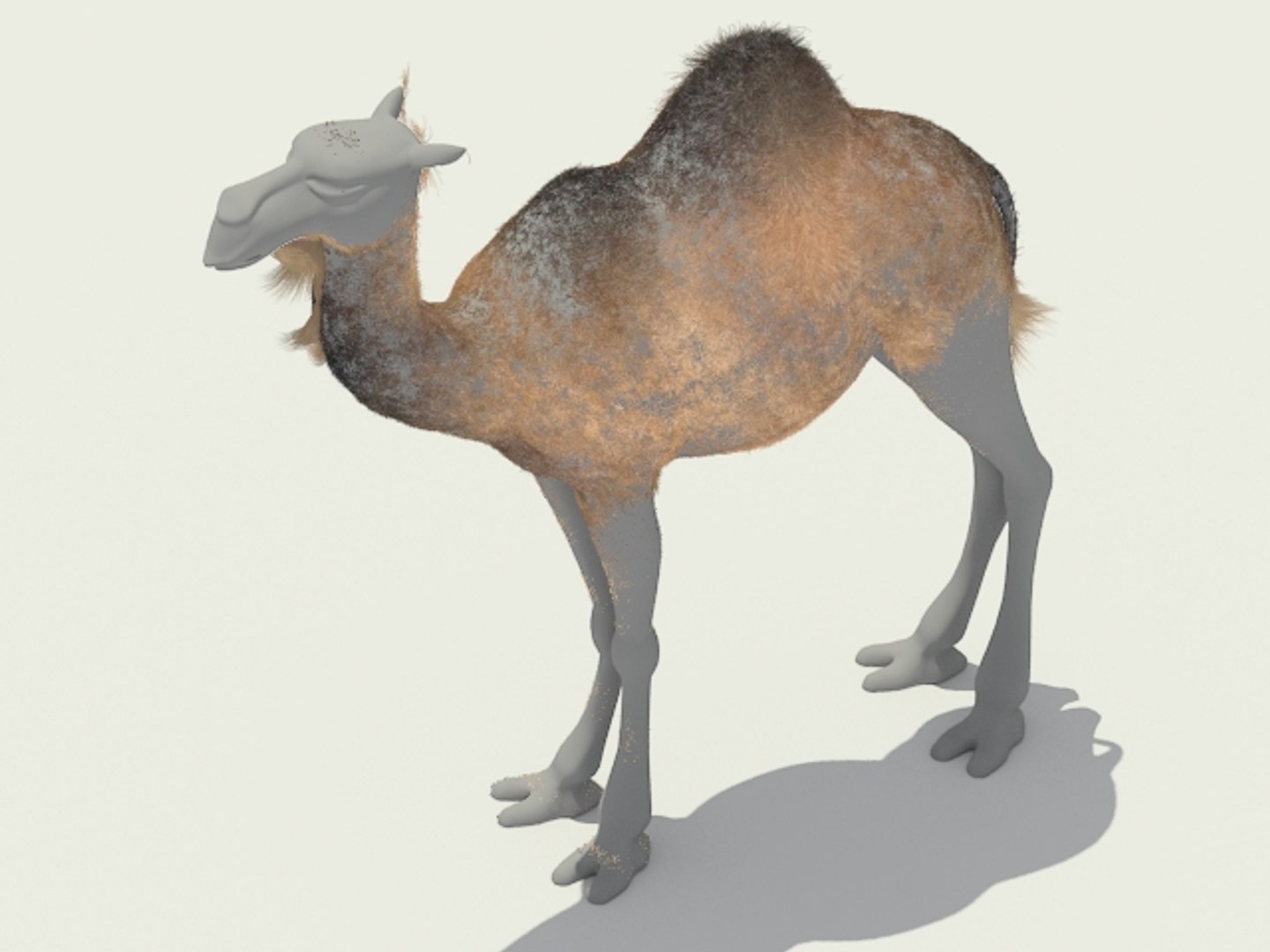 3ds max camel https://p.turbosquid.com/ts-thumb/62/7yX7FW/MZzk12SP/camel_10/jpg/1301398535/1920x1080/fit_q87/a443eda9b4b30317fd82e9d7a954d002fd3f5ea0/camel_10.jpg