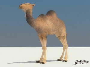 3ds max camel