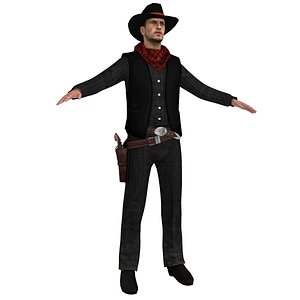 3d ma cowboy hat