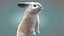 Rabbit Cream RIG XGEN