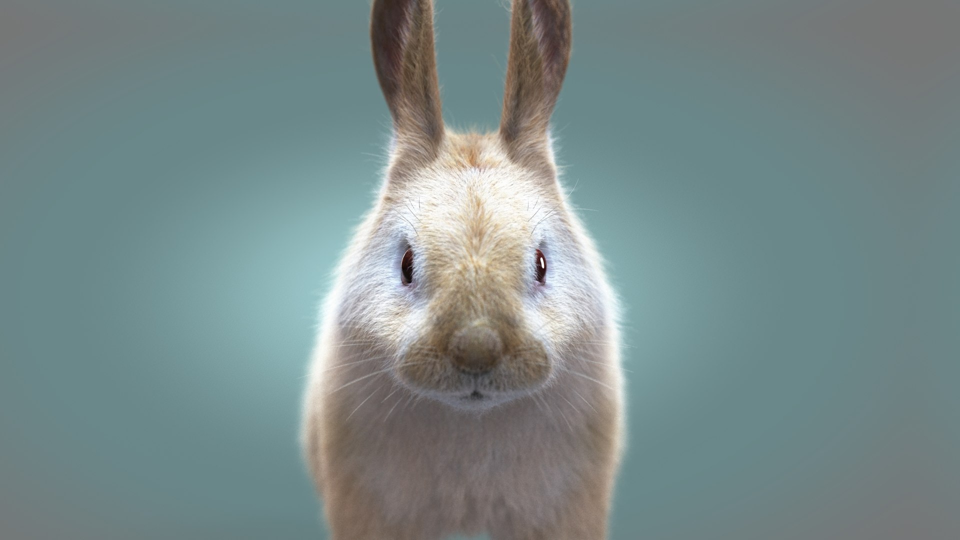 Rabbit Cream RIG XGEN 3D https://p.turbosquid.com/ts-thumb/62/CGqVga/qC/z03/jpg/1689564241/1920x1080/fit_q87/e5efa7af8194d8d260a41b8222ea96d161d7efe0/z03.jpg