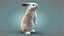 Rabbit Cream RIG XGEN