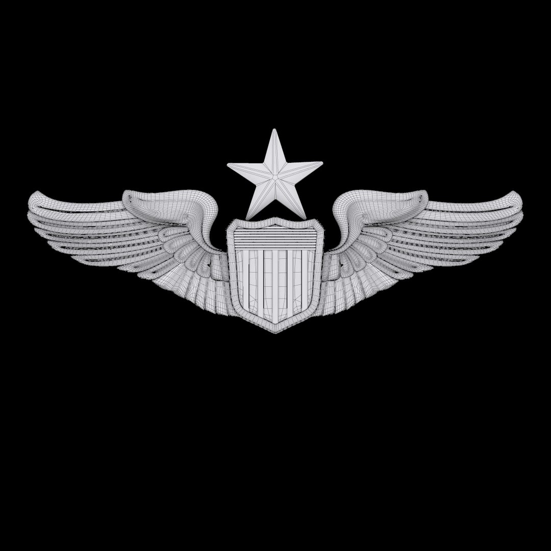 3D USAF Wings Badge set 3D Model Pack https://p.turbosquid.com/ts-thumb/62/ElGi36/xxrlbUqc/sen_pilot_01w/jpg/1661816299/1920x1080/fit_q87/fd4644455b12525a3c1adfcded3809636138509b/sen_pilot_01w.jpg