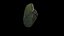 Anydrafts Magnolia officinalis Burl 06