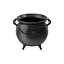 Black Cauldron