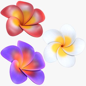 Realistic Plumeria 3D Model - High-Quality 4K PBR Asset (Three Variants Available)