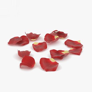 rose petals 3D