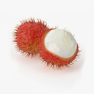 realistic rambutan fruit real 3d model