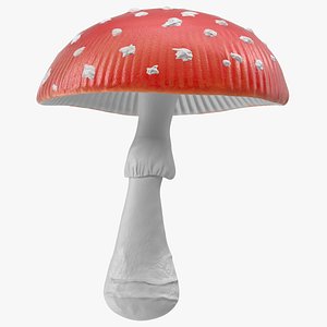 big amanita mushroom 3D model