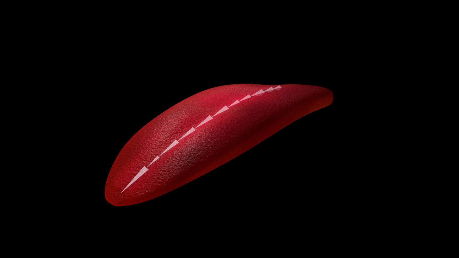 3d rigged tongue model https://p.turbosquid.com/ts-thumb/62/r3cbNp/Tvw5xiPO/sss/jpg/1471196262/1920x1080/fit_q87/41e8a97506ef9c3cc9052a7a6e4c477189c98050/sss.jpg